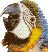 lutino's Avatar